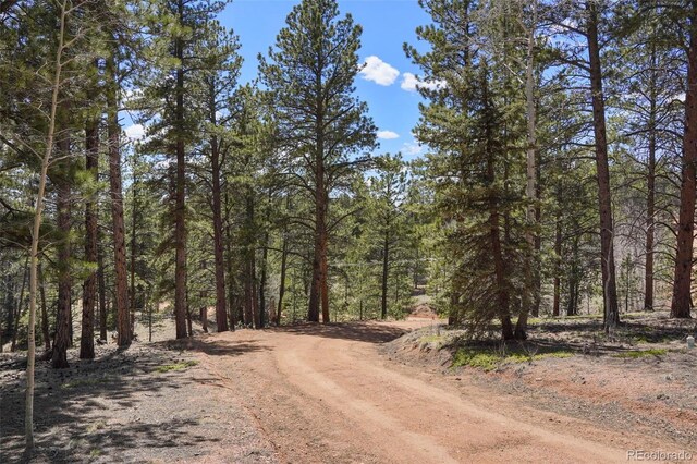 2450 Pathfinder Rd, Florissant, CO 80816 - photo 22