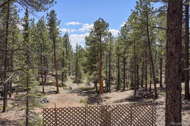 2450 Pathfinder Rd, Florissant, CO 80816 - photo 23