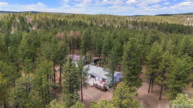 2450 Pathfinder Rd, Florissant, CO 80816 - photo 25