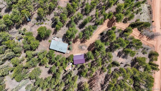 2450 Pathfinder Rd, Florissant, CO 80816 - photo 26
