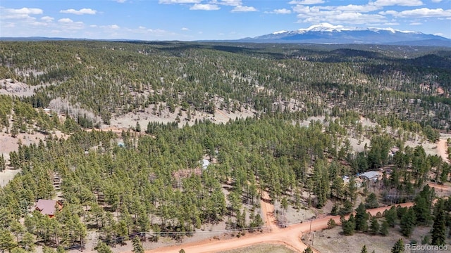 2450 Pathfinder Rd, Florissant, CO 80816 - photo 27