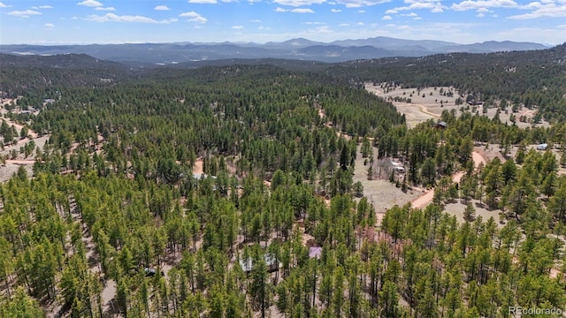 2450 Pathfinder Rd, Florissant, CO 80816 - photo 28