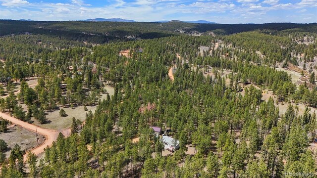 2450 Pathfinder Rd, Florissant, CO 80816 - photo 29