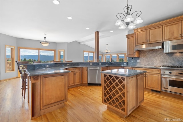 1680 Elk View Rd, Larkspur, CO 80118 - kitchen with appliances with stainless steel finishes, a chandelier, under cabinet range hood, a center island, and vaulted ceiling