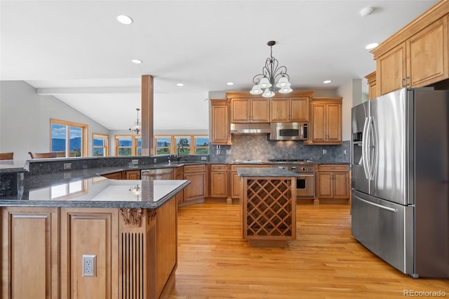 1680 Elk View Rd, Larkspur, CO 80118 - kitchen with stainless steel appliances, light wood-type flooring, a chandelier, decorative backsplash, and under cabinet range hood