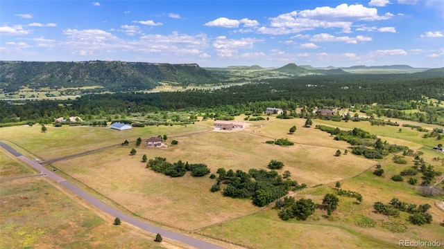 1680 Elk View Rd, Larkspur, CO 80118 - overview of rural landscape with a mountainous background and a forest