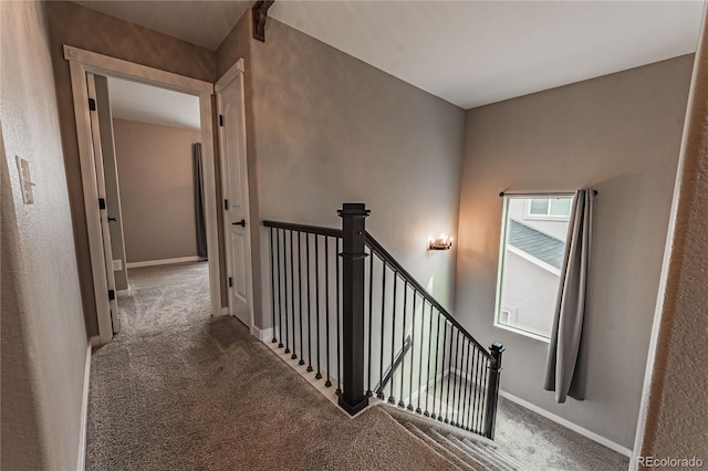 staircase featuring carpet