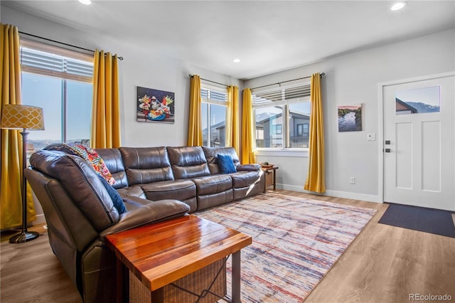 living room with light hardwood / wood-style floors