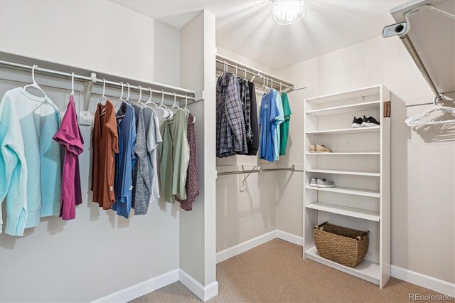 walk in closet featuring carpet
