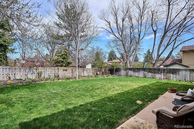 view of yard featuring a fenced backyard and a patio