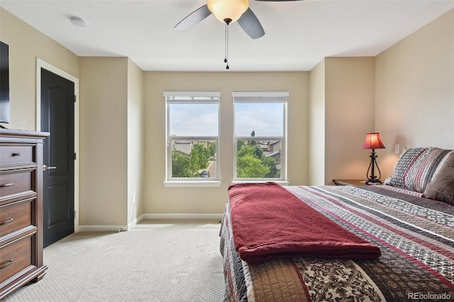 2505 S Orion St, Lakewood, CO 80228 - photo 11