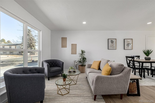 living room with a textured ceiling, wood finished floors, and recessed lighting