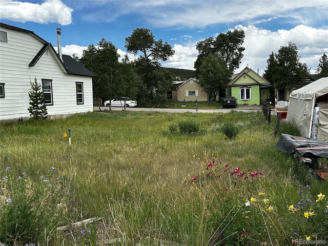 422 E 10th St, Leadville, CO 80461 - photo 18