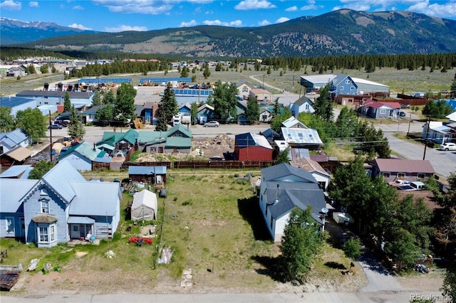 422 E 10th St, Leadville, CO 80461 - photo 8