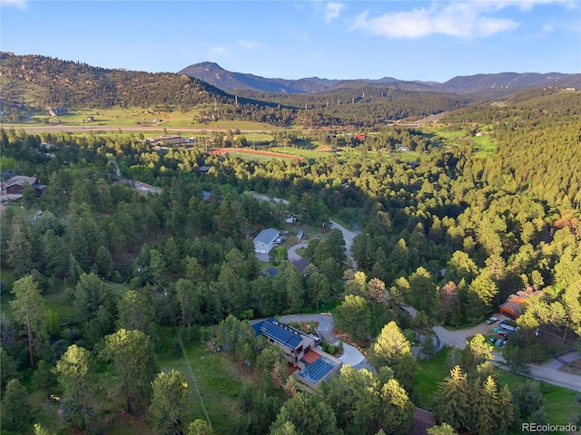 1298 Meadow View Dr, Evergreen, CO 80439 - aerial view of property's location featuring a forest and a mountain backdrop
