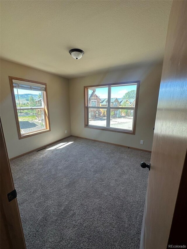 empty room featuring a healthy amount of sunlight, carpet floors, and a textured ceiling