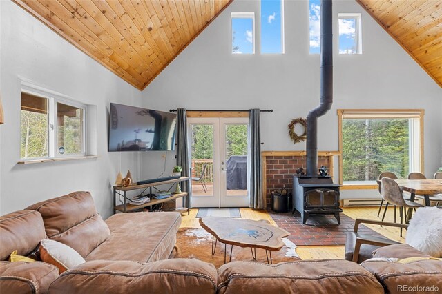 894 Peterson Dr, Alma, CO 80420 - photo 4