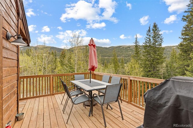 894 Peterson Dr, Alma, CO 80420 - photo 6