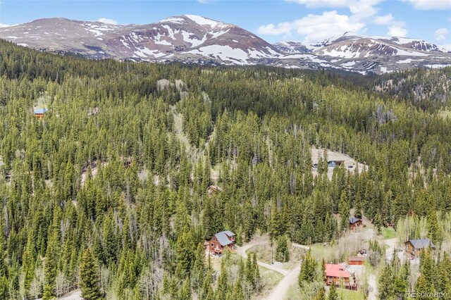 894 Peterson Dr, Alma, CO 80420 - photo 9