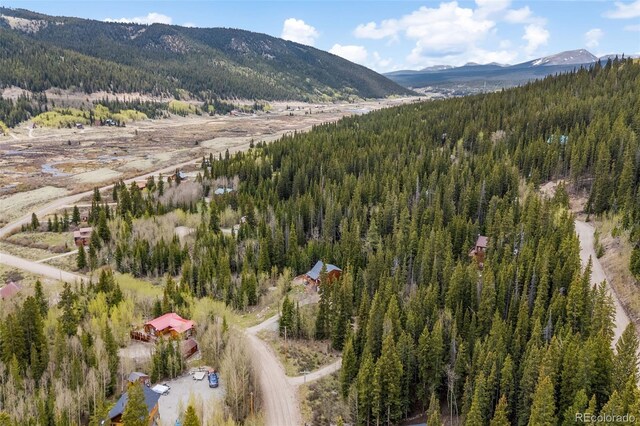 894 Peterson Dr, Alma, CO 80420 - photo 10