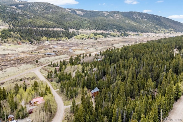 894 Peterson Dr, Alma, CO 80420 - photo 11
