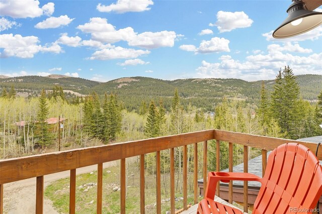 894 Peterson Dr, Alma, CO 80420 - photo 26
