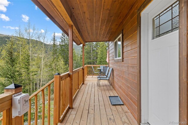 894 Peterson Dr, Alma, CO 80420 - photo 41