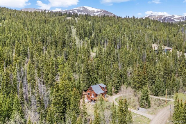 894 Peterson Dr, Alma, CO 80420 - photo 50