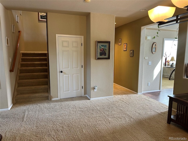 13415 Kearney St, Thornton, CO 80602 - photo 12