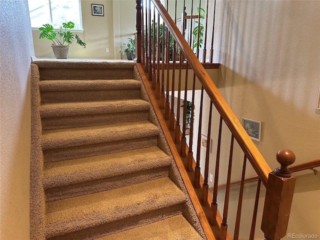 13415 Kearney St, Thornton, CO 80602 - photo 31