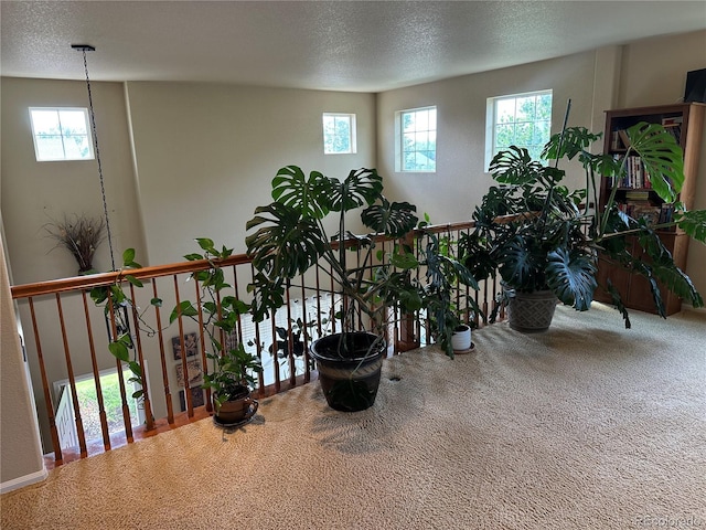 13415 Kearney St, Thornton, CO 80602 - photo 33