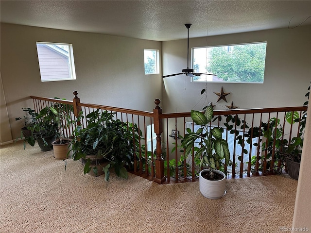 13415 Kearney St, Thornton, CO 80602 - photo 34
