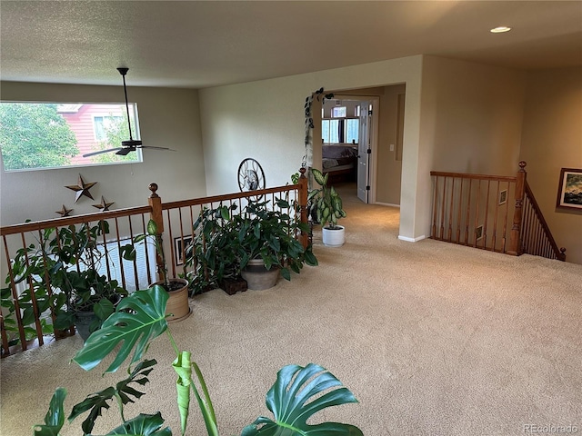 13415 Kearney St, Thornton, CO 80602 - photo 35