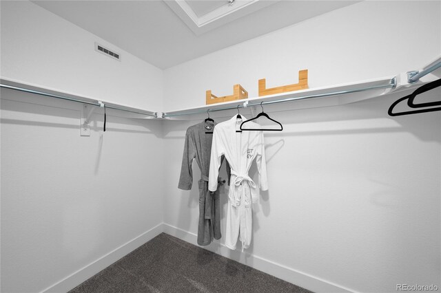 17137 W 91st Ln, Arvada, CO 80007 - spacious closet with dark colored carpet
