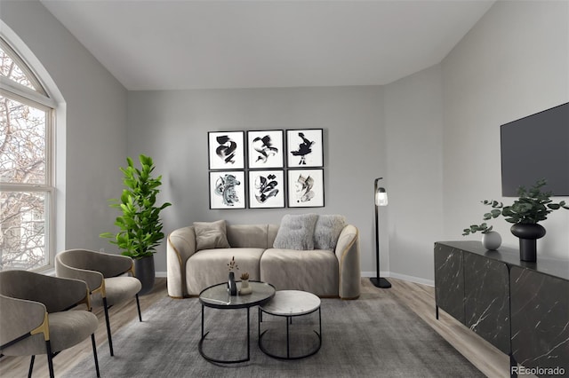 living room with wood-type flooring