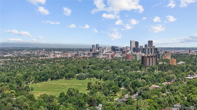 1265 S Gaylord St, Denver, CO 80210 - photo 43