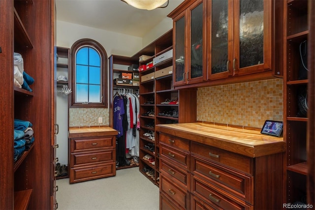 spacious closet featuring carpet