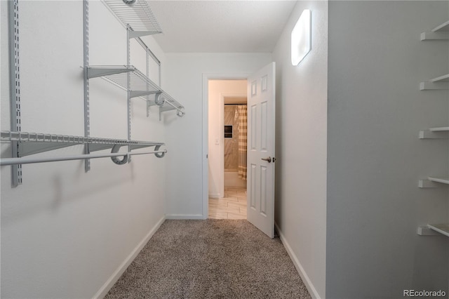 spacious closet featuring carpet floors