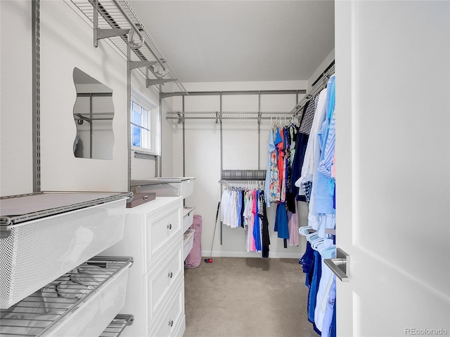 2716 W Greens Dr, Littleton, CO 80123 - walk in closet with light colored carpet