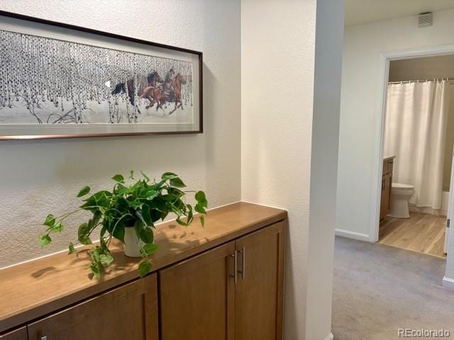 2716 W Greens Dr, Littleton, CO 80123 - detailed view of carpet flooring and baseboards