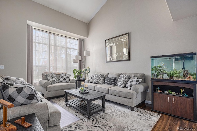 living room featuring wood finished floors and high vaulted ceiling