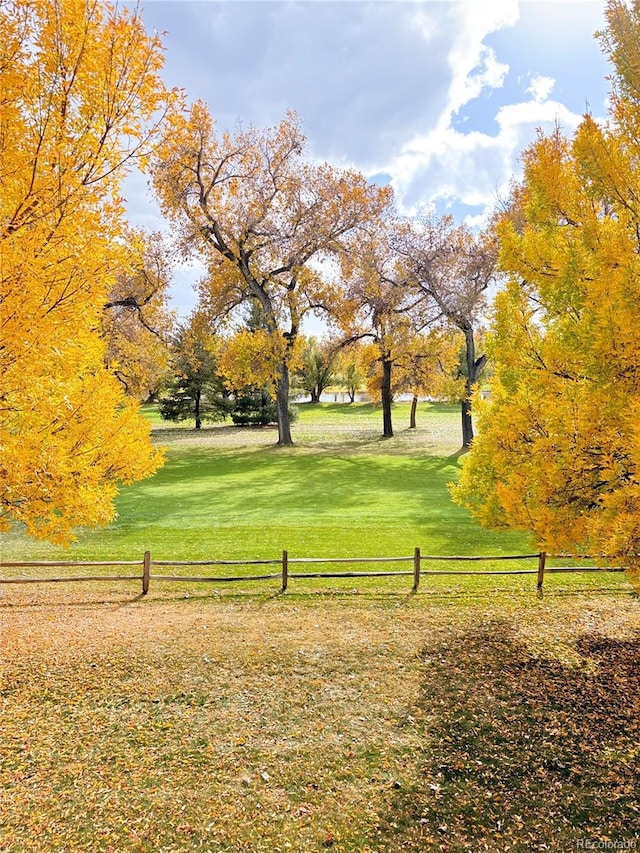 view of community with a yard