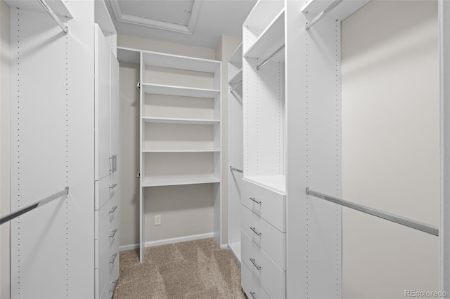 6900 W Grant Ranch Blvd Unit 88, Denver, CO 80123 - walk in closet with light carpet and attic access