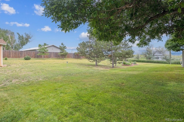 10550 Rampart Ln, Littleton, CO 80125 - photo 37
