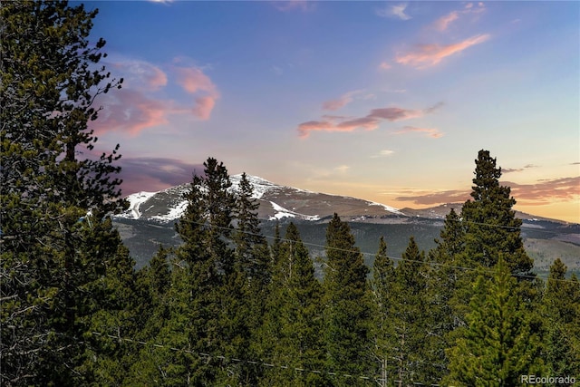258 Gold Trail Cutoff, Fairplay, CO 80440 - photo 6