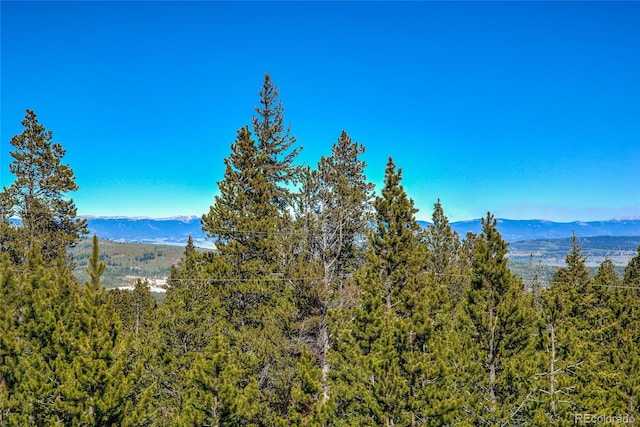 258 Gold Trail Cutoff, Fairplay, CO 80440 - photo 10