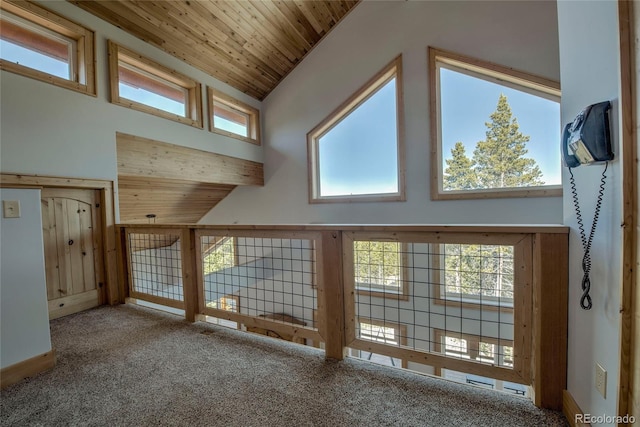 258 Gold Trail Cutoff, Fairplay, CO 80440 - photo 23