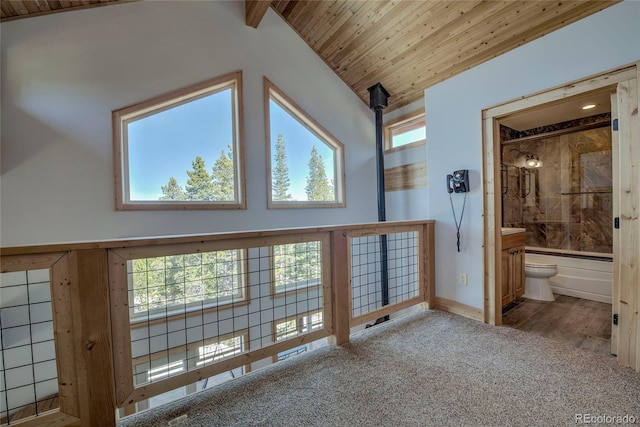 258 Gold Trail Cutoff, Fairplay, CO 80440 - photo 25