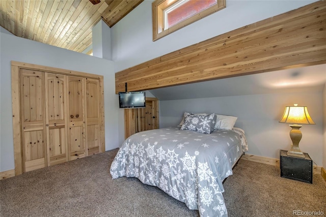 258 Gold Trail Cutoff, Fairplay, CO 80440 - photo 26