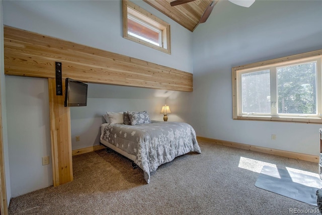 258 Gold Trail Cutoff, Fairplay, CO 80440 - photo 27